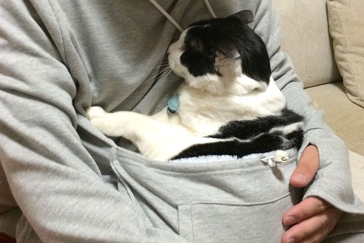 Фотография: В кенгуруподобном худи вы можете не расставаться со своим котом №7 - BigPicture.ru