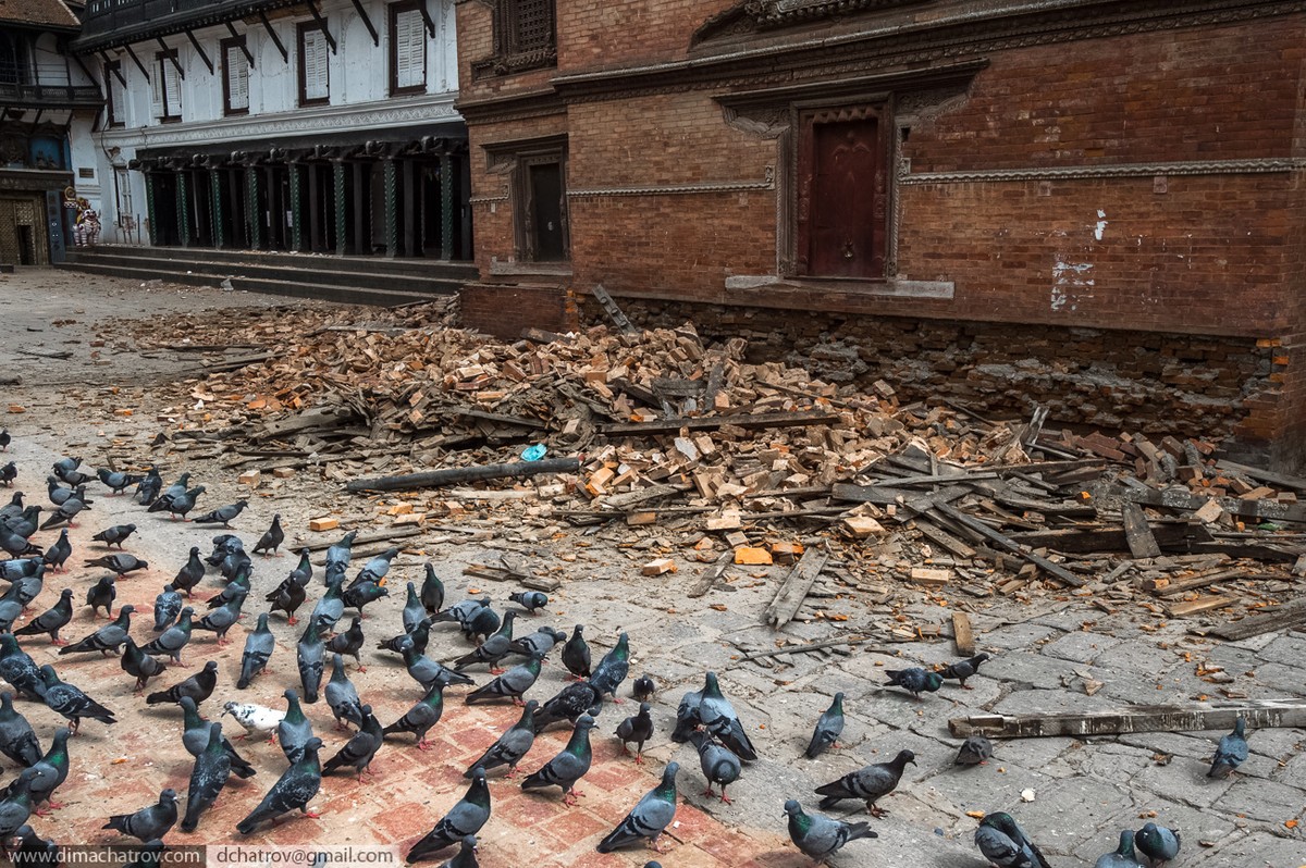 Фотография: Трагедия в Непале: страшный репортаж с места событий №41 - BigPicture.ru