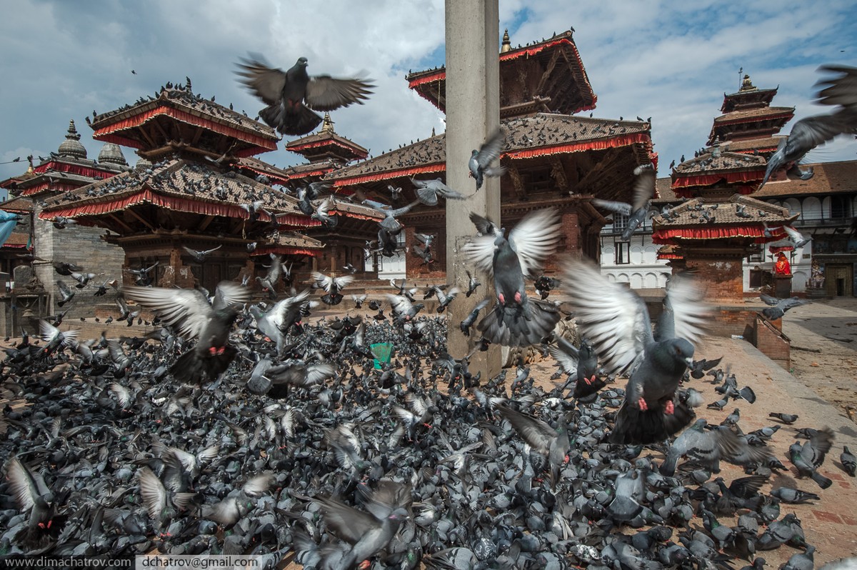 Фотография: Трагедия в Непале: страшный репортаж с места событий №42 - BigPicture.ru