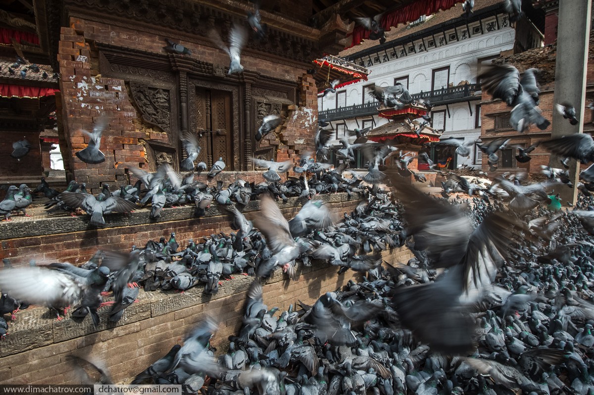 Фотография: Трагедия в Непале: страшный репортаж с места событий №43 - BigPicture.ru