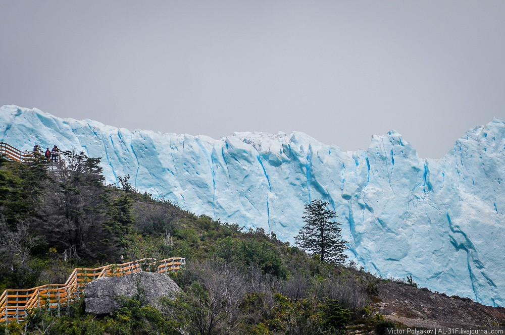 Фотография: Аргентинская Патагония: ледник Перито-Морено №9 - BigPicture.ru