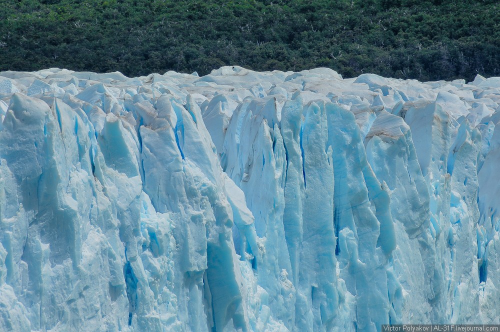 Фотография: Аргентинская Патагония: ледник Перито-Морено №15 - BigPicture.ru
