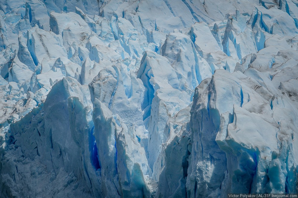 Фотография: Аргентинская Патагония: ледник Перито-Морено №17 - BigPicture.ru