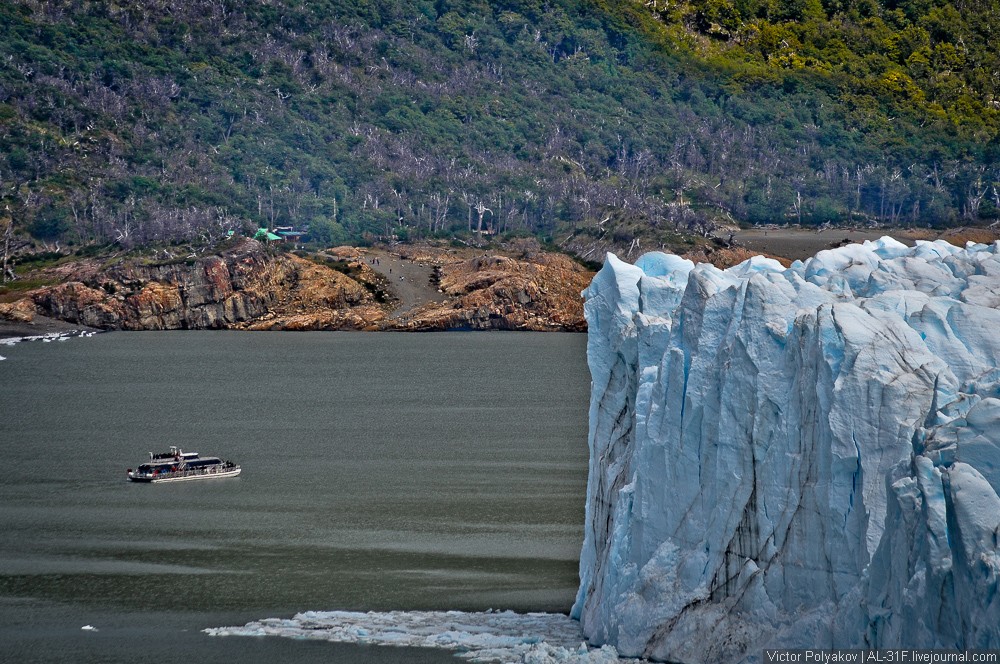 Фотография: Аргентинская Патагония: ледник Перито-Морено №21 - BigPicture.ru