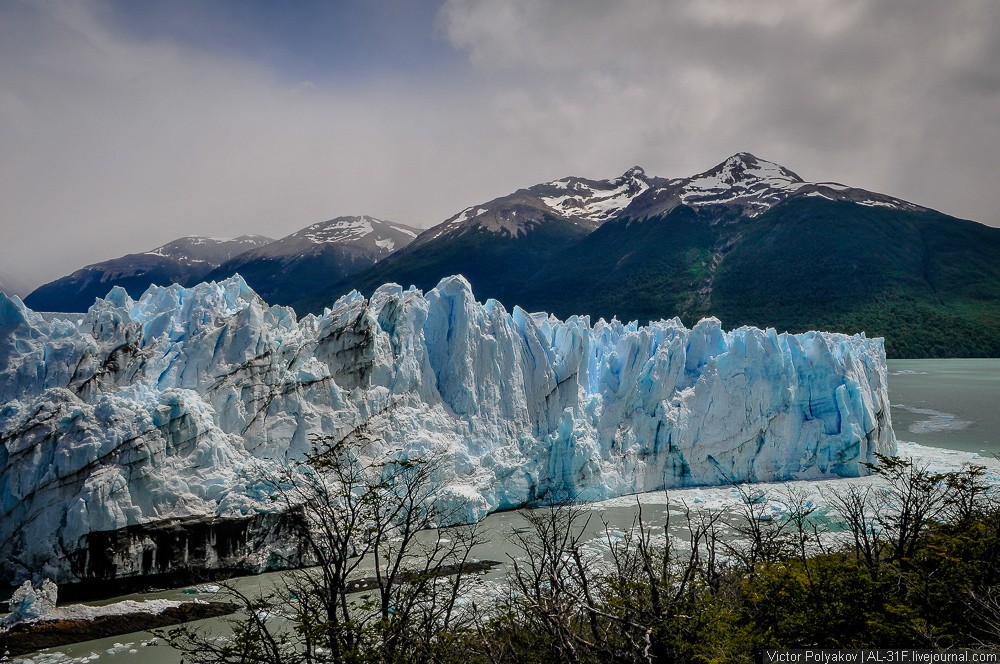Фотография: Аргентинская Патагония: ледник Перито-Морено №23 - BigPicture.ru