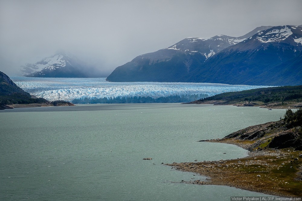 Фотография: Аргентинская Патагония: ледник Перито-Морено №25 - BigPicture.ru