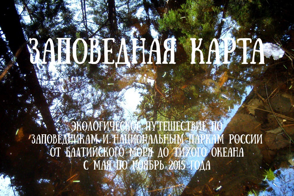Фотография: В стране лесов и тысячи озер №3 - BigPicture.ru