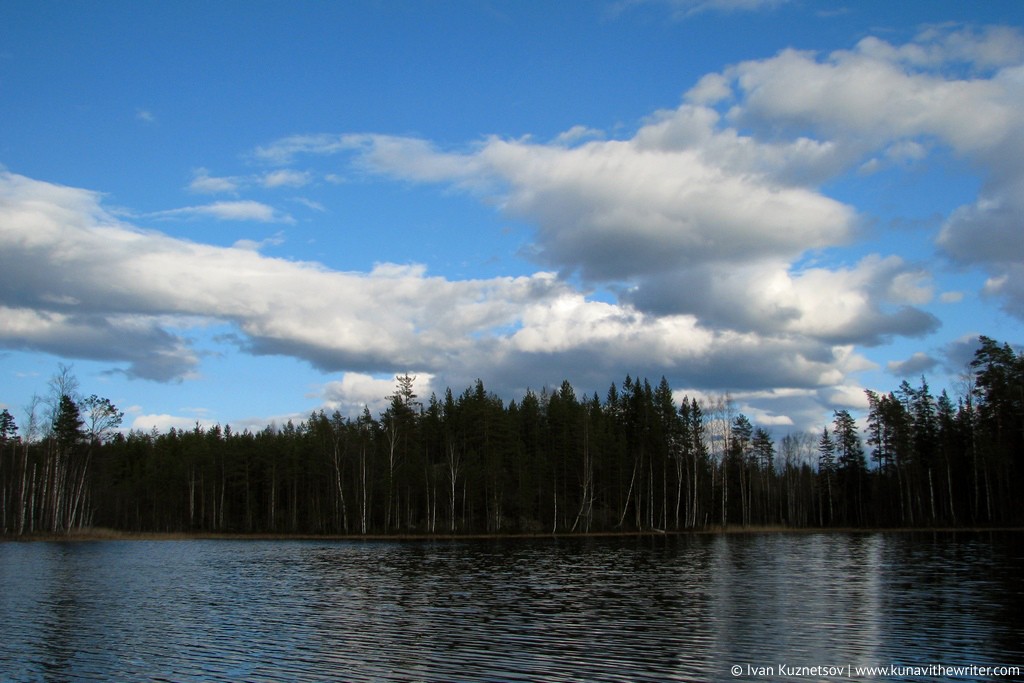 Фотография: В стране лесов и тысячи озер №37 - BigPicture.ru