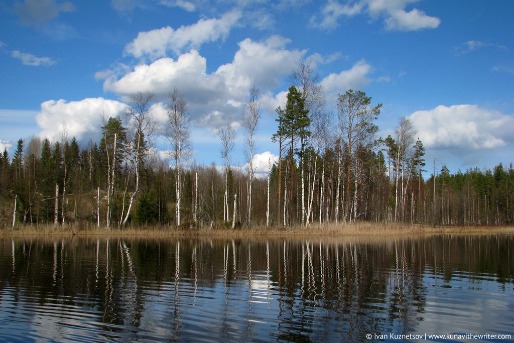 Фотография: В стране лесов и тысячи озер №39 - BigPicture.ru