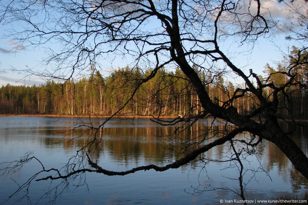 Фотография: В стране лесов и тысячи озер №41 - BigPicture.ru