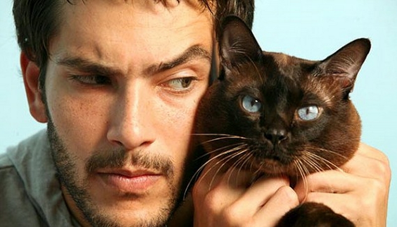 Фотография: 30 причин обменять жену на кошку №1 - BigPicture.ru