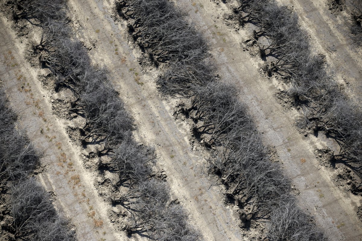 Фотография: Ужасающие последствия засухи в Калифорнии №4 - BigPicture.ru