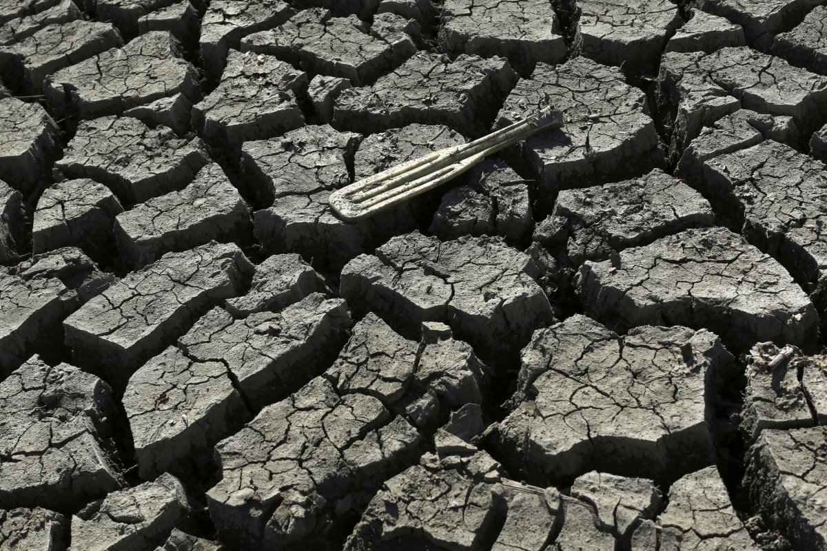 Фотография: Ужасающие последствия засухи в Калифорнии №7 - BigPicture.ru