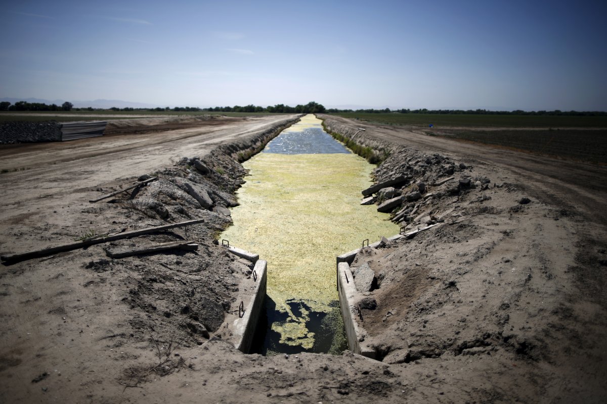Фотография: Ужасающие последствия засухи в Калифорнии №9 - BigPicture.ru