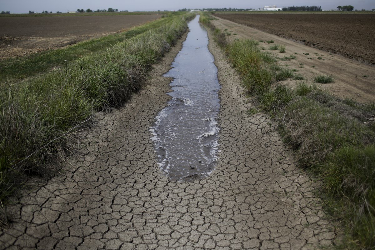 Фотография: Ужасающие последствия засухи в Калифорнии №17 - BigPicture.ru