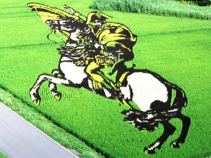 Фотография: Искусство тамбо — невероятные картины на рисовых полях Японии №6 - BigPicture.ru
