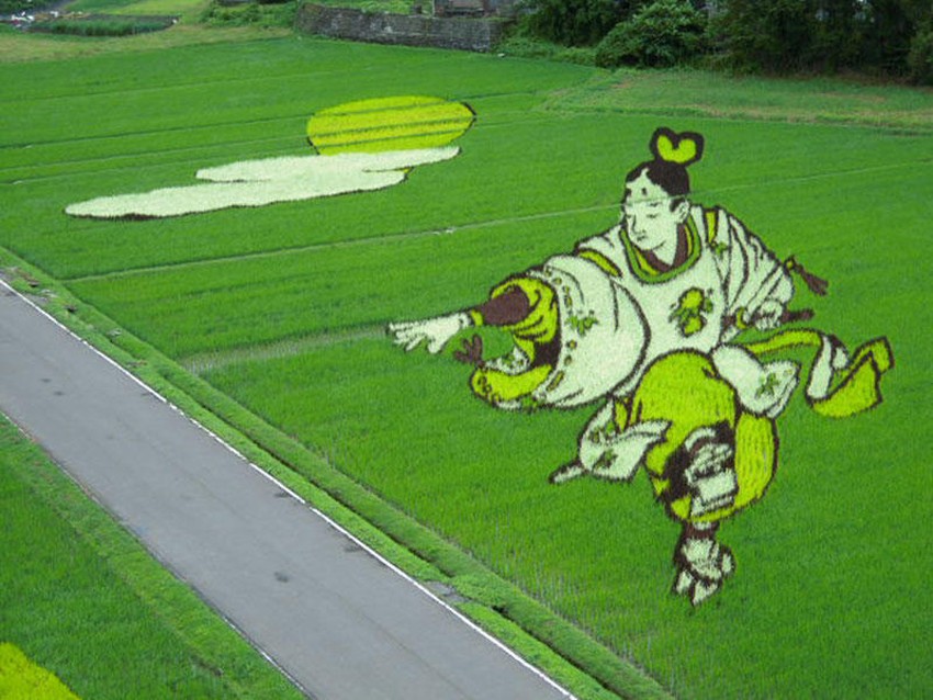 Фотография: Искусство тамбо — невероятные картины на рисовых полях Японии №13 - BigPicture.ru