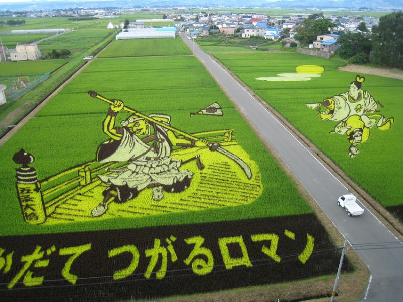 Фотография: Искусство тамбо — невероятные картины на рисовых полях Японии №1 - BigPicture.ru