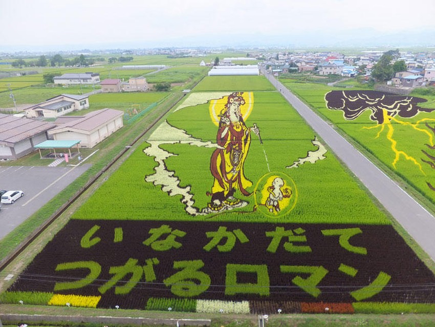 Искусство тамбо, невероятные картины на рисовых полях Японии
