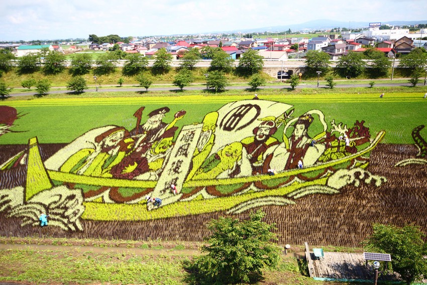 Искусство тамбо, невероятные картины на рисовых полях Японии