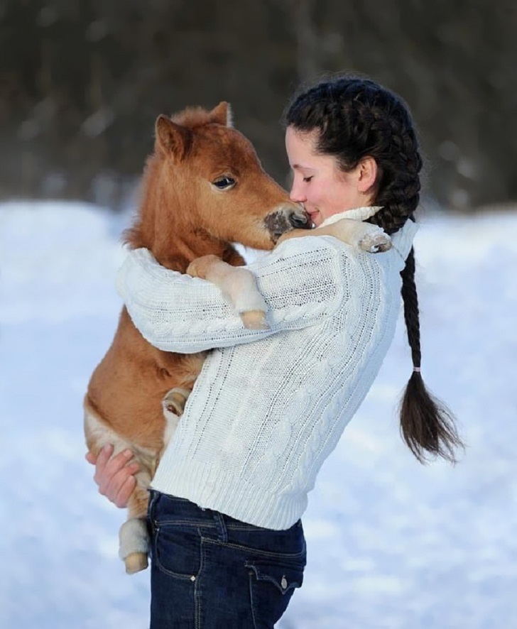 Фотография: Уберите детей от экранов: 30 мимими мини-лошадей №10 - BigPicture.ru