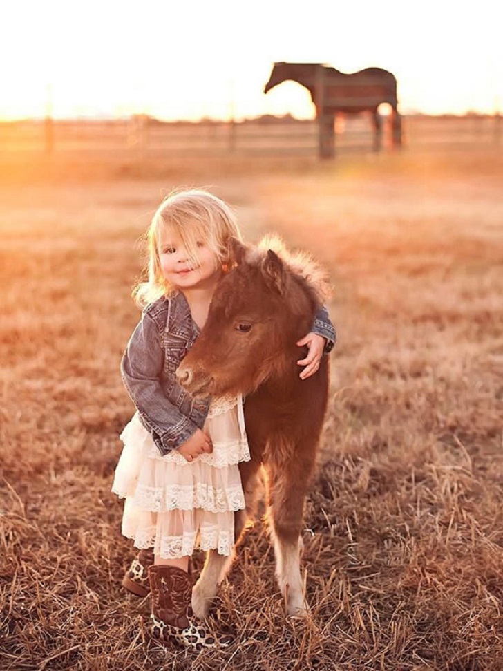 Фотография: Уберите детей от экранов: 30 мимими мини-лошадей №15 - BigPicture.ru