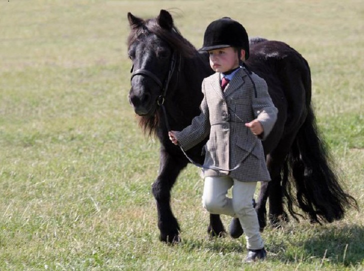 Фотография: Уберите детей от экранов: 30 мимими мини-лошадей №21 - BigPicture.ru