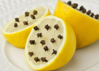 10 способов борьбы с комарами и их укусами