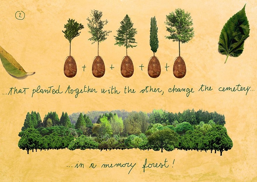 Фотография: Как экокапсулы из Италии превратят усопших в деревья №8 - BigPicture.ru
