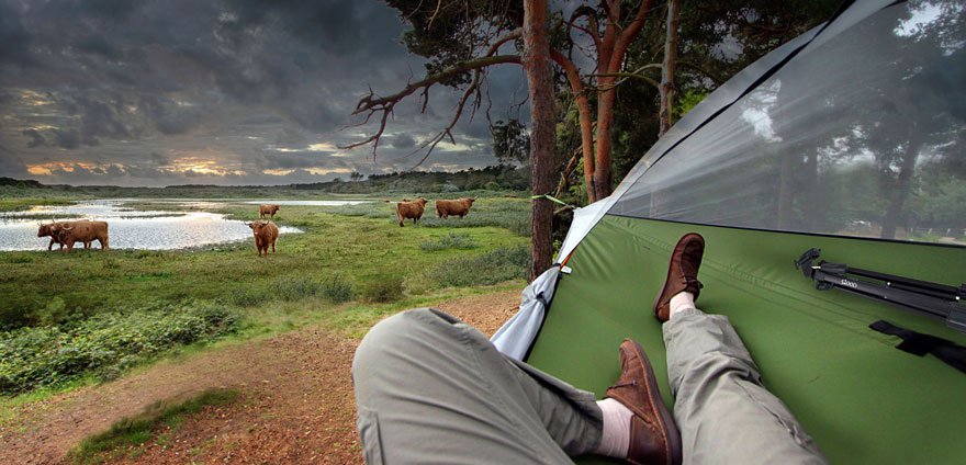 Фотография: Палатка британского дизайнера позволит ночевать на дереве №7 - BigPicture.ru