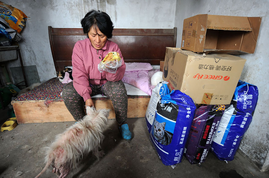 Фотография: Китайская учительница спасла 100 собак от верной смерти на фестивале собачьего мяса №15 - BigPicture.ru