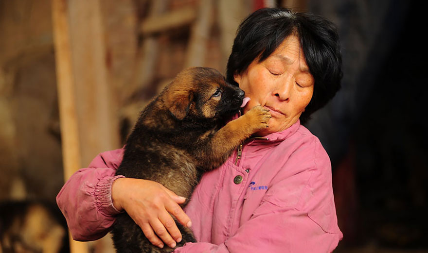 Фотография: Китайская учительница спасла 100 собак от верной смерти на фестивале собачьего мяса №20 - BigPicture.ru