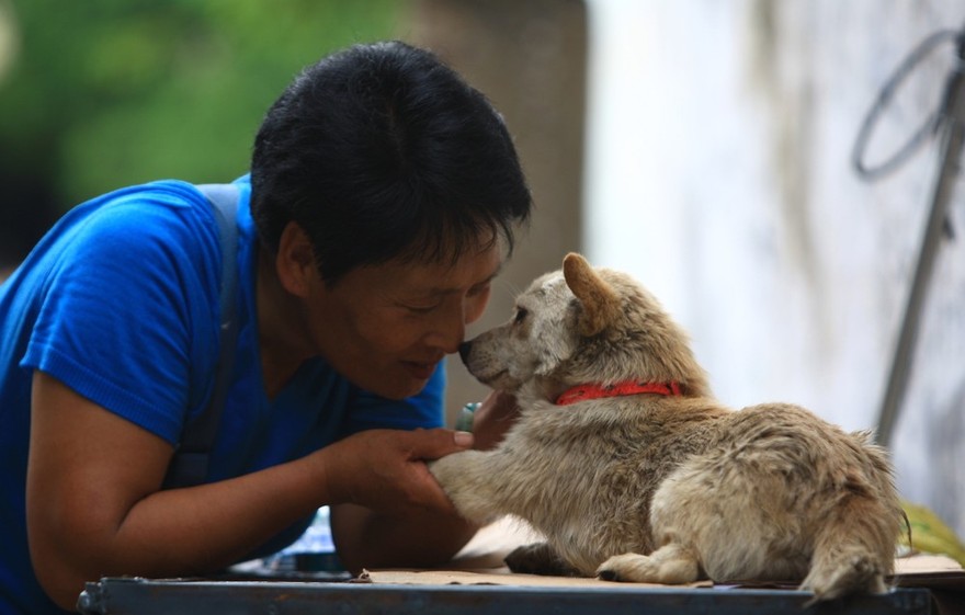 Фотография: Китайская учительница спасла 100 собак от верной смерти на фестивале собачьего мяса №24 - BigPicture.ru