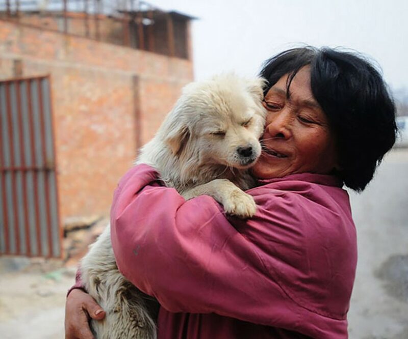 Фотография: Китайская учительница спасла 100 собак от верной смерти на фестивале собачьего мяса №1 - BigPicture.ru