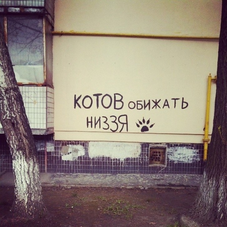 Фотография: Когда надписи на стенах смотрят прямо в душу №10 - BigPicture.ru