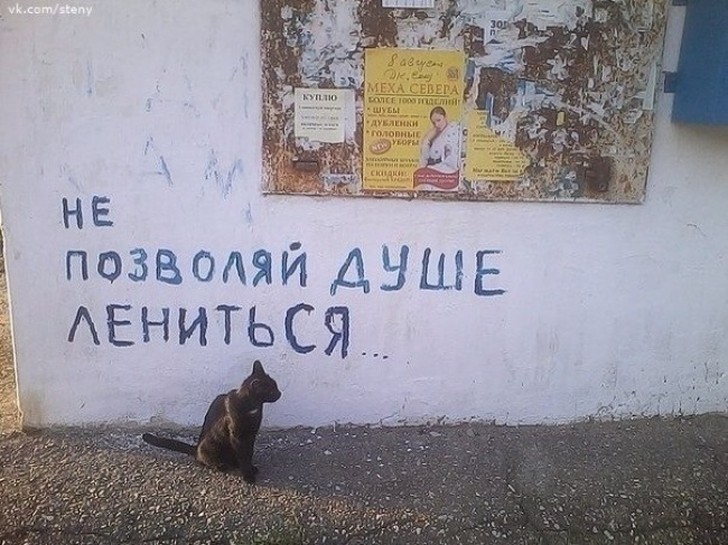 Фотография: Когда надписи на стенах смотрят прямо в душу №18 - BigPicture.ru