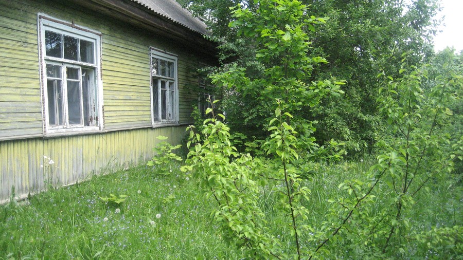 Фотография: Квартиросъемка: как деревенскую халупу превратить в загородный дом мечты №6 - BigPicture.ru