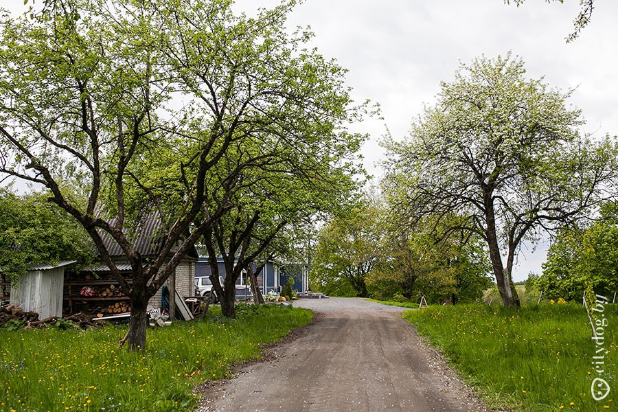 Фотография: Квартиросъемка: как деревенскую халупу превратить в загородный дом мечты №12 - BigPicture.ru