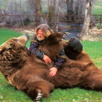 20 животов, которые надо немедленно почесать