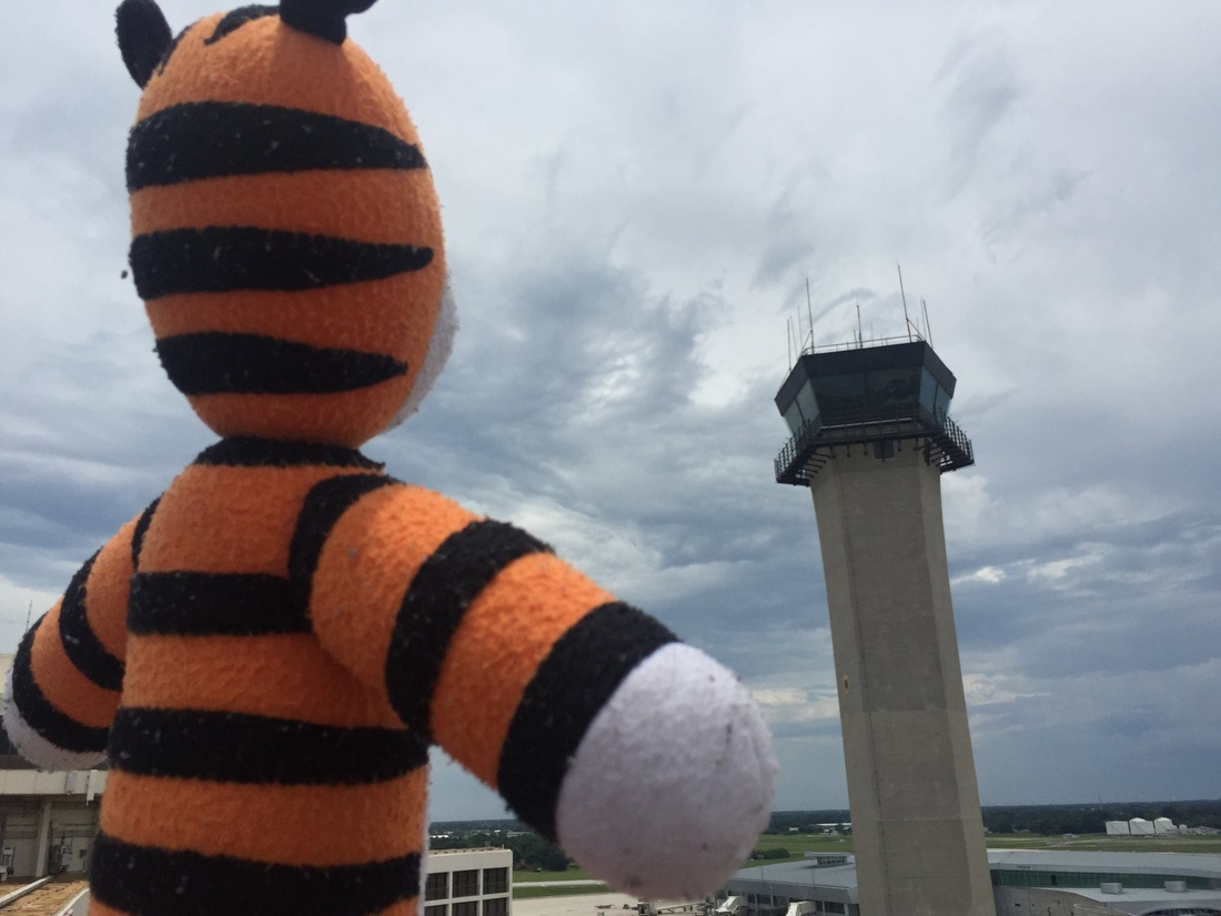 Фотография: Безумные приключения забытого тигра в аэропорту Тампы №2 - BigPicture.ru