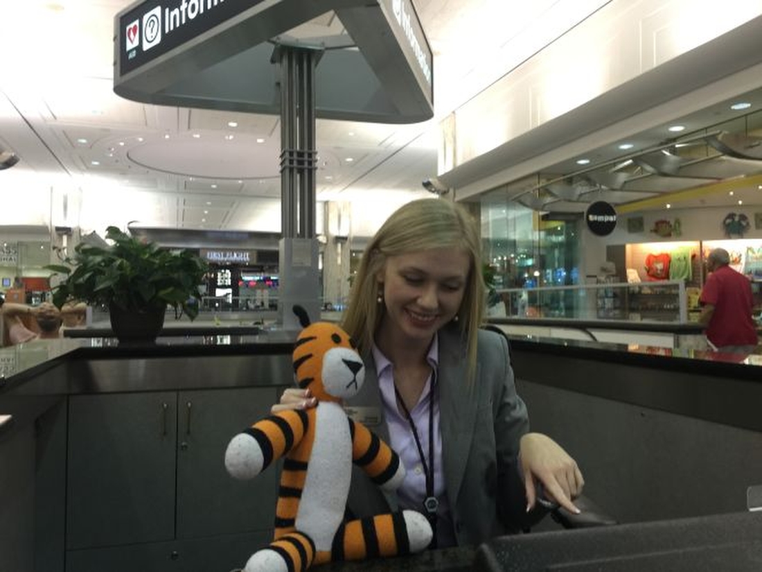 Фотография: Безумные приключения забытого тигра в аэропорту Тампы №3 - BigPicture.ru