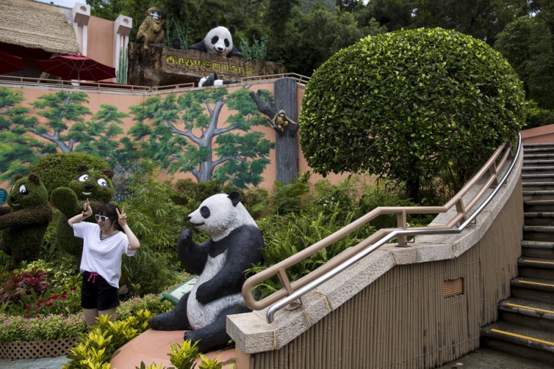 Фотография: Цзя-Цзя: как живет старейшая панда на свете №1 - BigPicture.ru