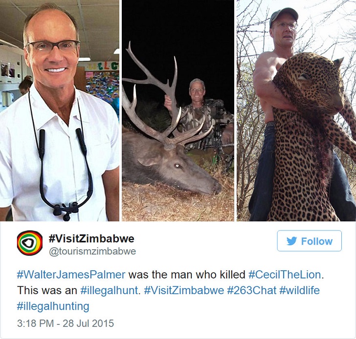 Фотография: Американец, убивший известного льва, вызвал ярость в интернете и закрыл свой стоматологический кабинет №5 - BigPicture.ru