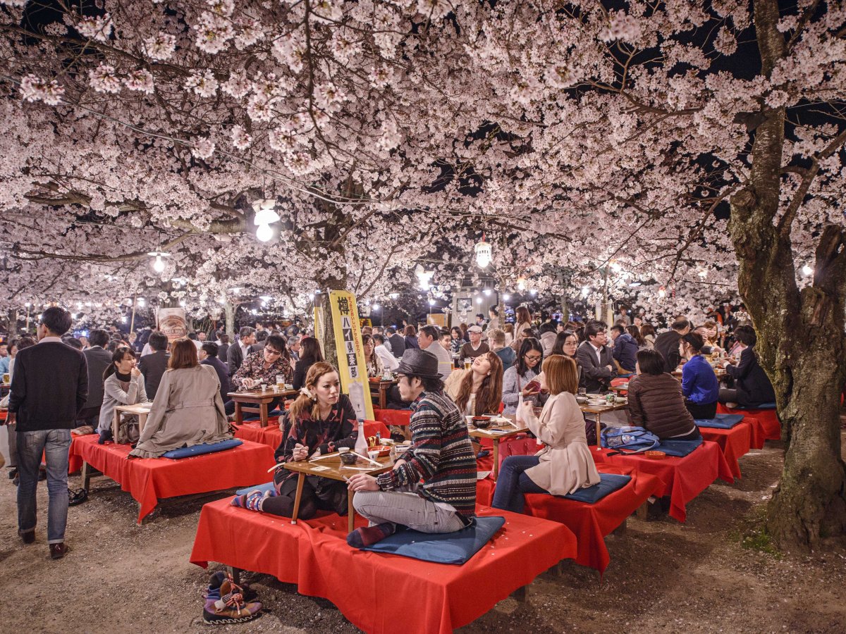 Фотография: Почему Киото выбрали лучшим городом мира: 23 фотодоказательства №8 - BigPicture.ru