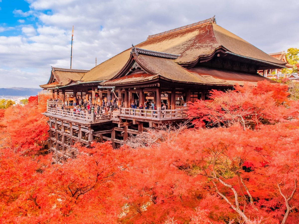 Фотография: Почему Киото выбрали лучшим городом мира: 23 фотодоказательства №9 - BigPicture.ru
