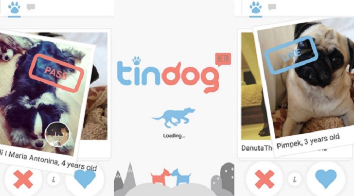 Фотография: Tinder запустил приложение для знакомств собак №12 - BigPicture.ru