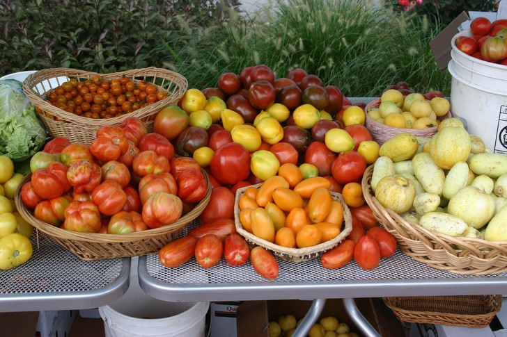 Фотография: О эти восхитительные помидоры! 10 полезных свойств 
