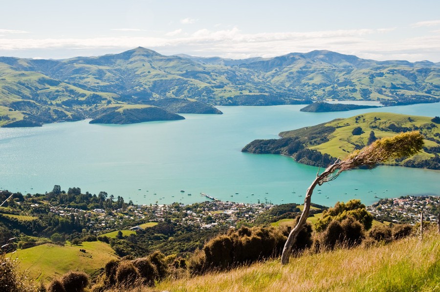 Фотография: 25 любопытнейших фактов о Новой Зеландии №24 - BigPicture.ru