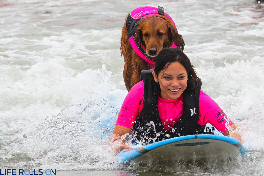 Фотография: Пес Рикошет занимается серфингом с больными людьми и помогает им вылечиться №10 - BigPicture.ru