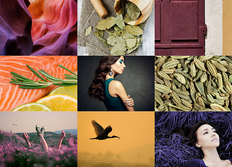 Фотография: Фотографии в модных цветах сезона осень-2015 согласно докладу института Pantone №1 - BigPicture.ru